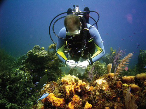 Photo (caption below)