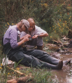 Photo (caption below)