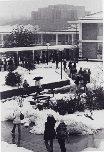 Snowy view of the quad