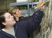 Photo (Caption Below)