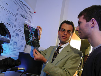 Professor Giorgio Ascoli with Student
