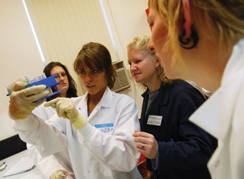 Students examine endocrine lab specimens